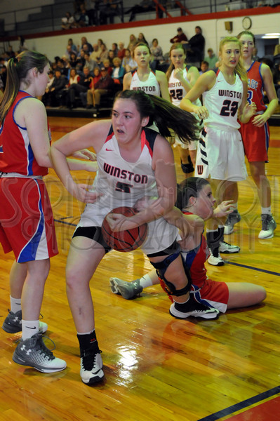 1-31-17 WA vs. HA 111.JPG
